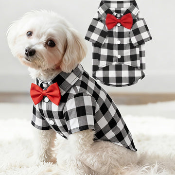 Lightweight Basic Pet T-Shirt – Casual Daily Wear for Small to Large Breeds