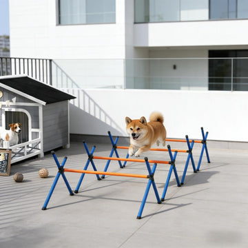 4-Piece Adjustable Dog Agility Jump Set – Garden Training Equipment with Carry Bag