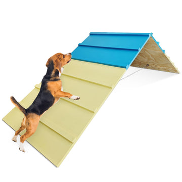 Adjustable A-Frame Agility Ramp for Small to Medium Dogs