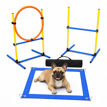 3-in-1 Backyard Dog Agility Starter Set