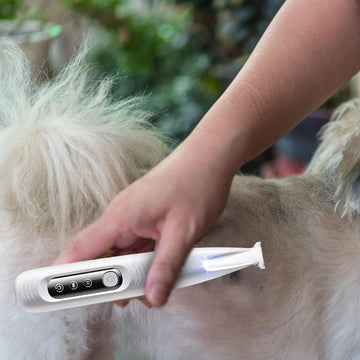 Low-Noise Electric Dog Paw Trimmer – Waterproof with LED Light for Precision Grooming