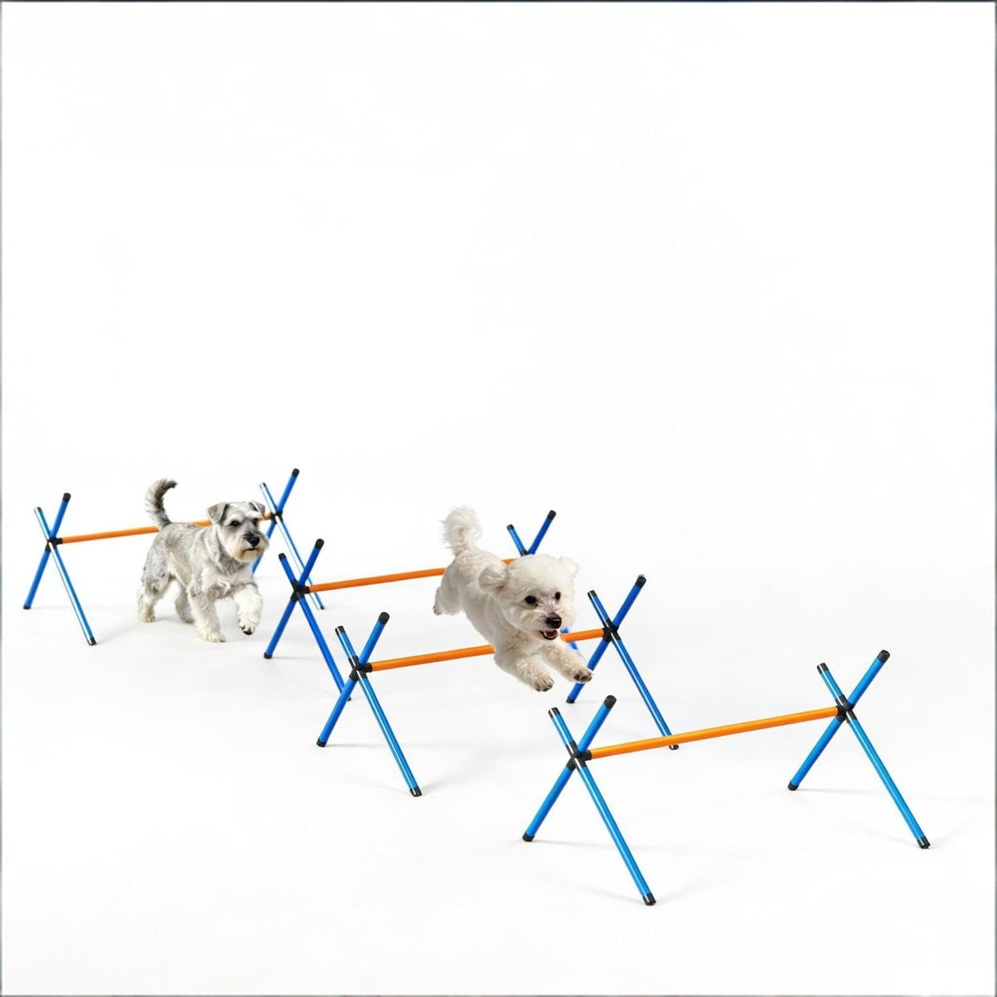 4-Piece Adjustable Dog Agility Jump Set – Garden Training Equipment with Carry Bag