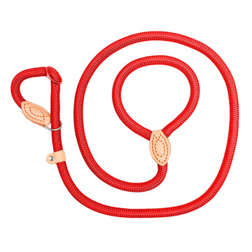 Heavy Duty Long Dog Leash for Large Breeds – Lightweight, Strong, and Ideal for Hiking