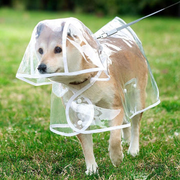 Transparent Waterproof Pet Raincoat – Lightweight Rainwear for Dogs and Cats